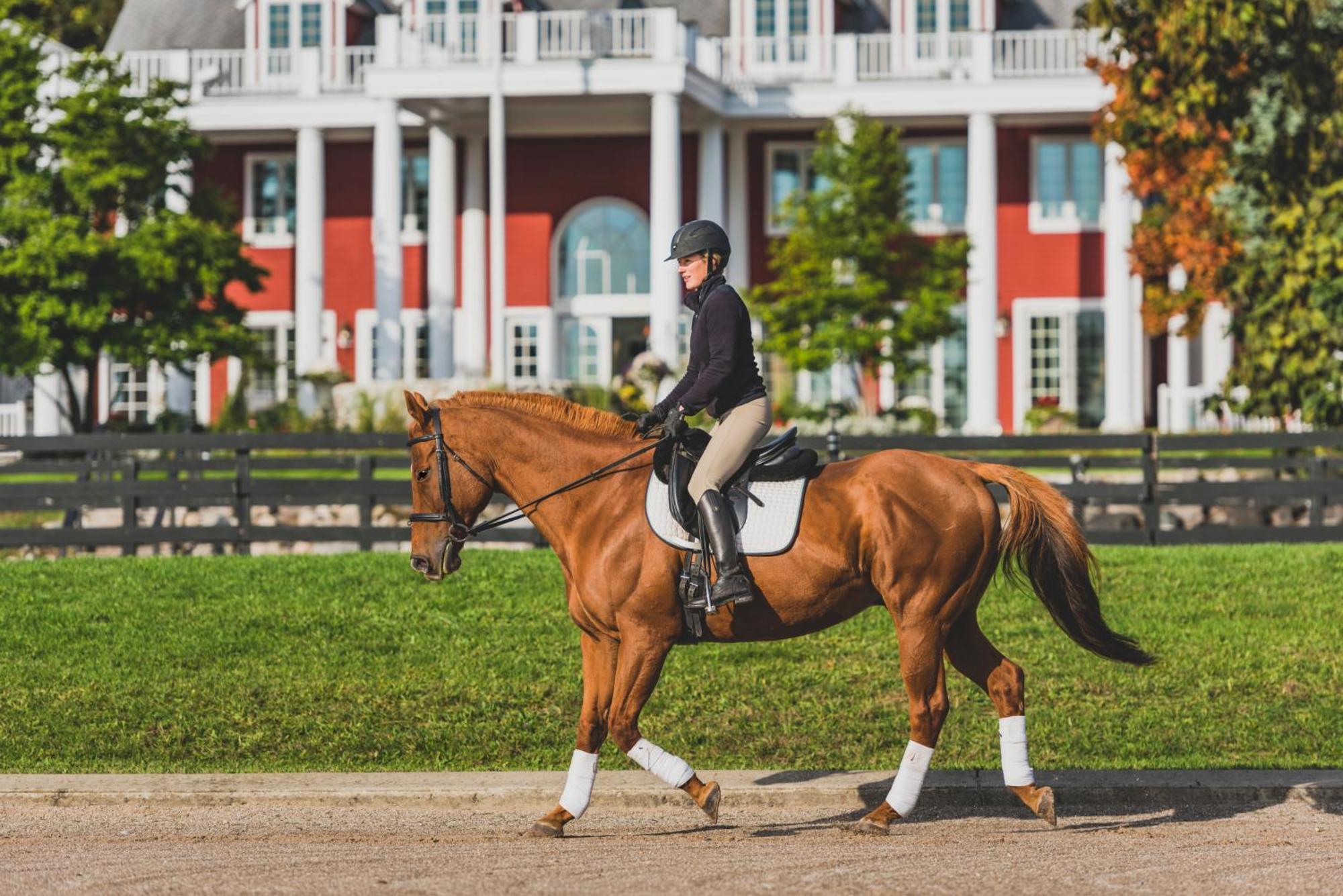 Inn At Black Star Farms Suttons Bay 외부 사진